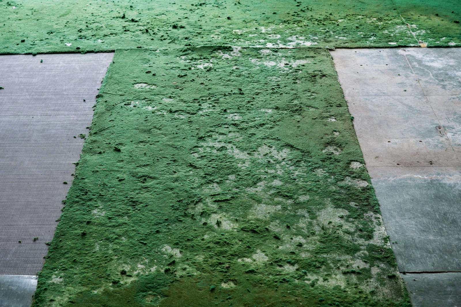 Adrià Julià - Conquesta de l'inútil