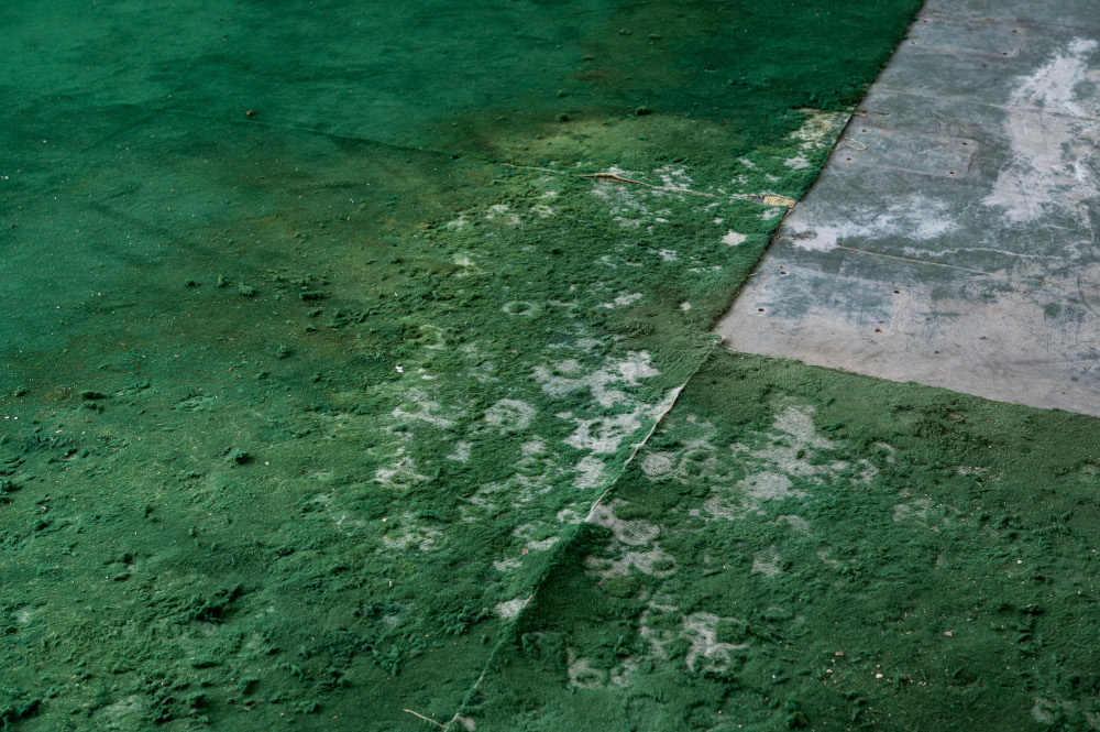 Adrià Julià - Conquesta de l'inútil