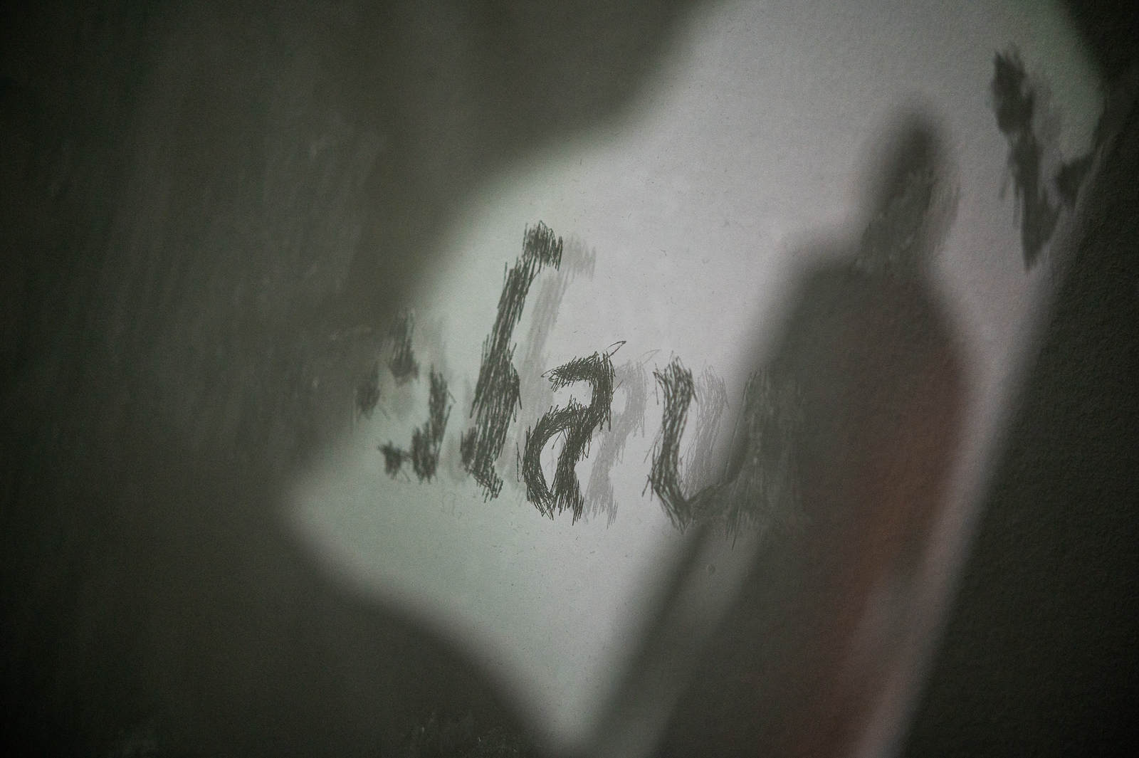 Adrià Julià - Conquesta de l'inútil