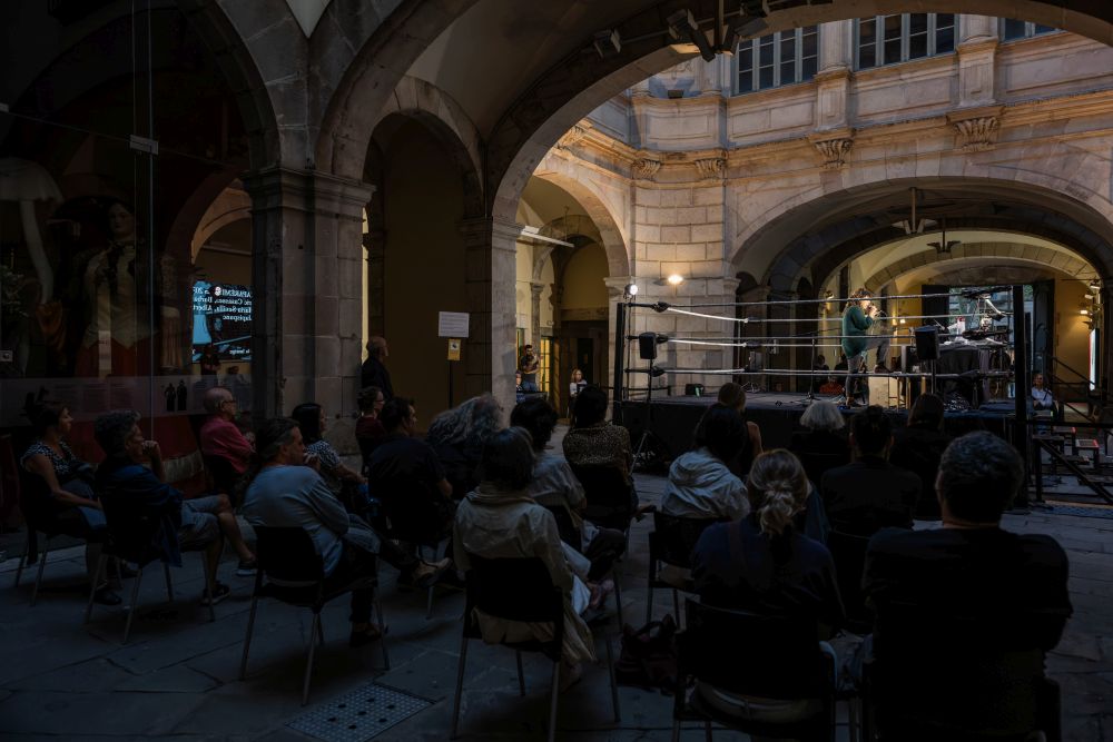 Epifanies paraparèmiques 2025