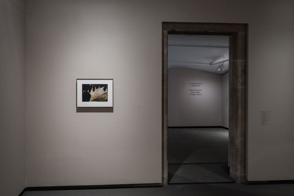 La muntanya anàloga