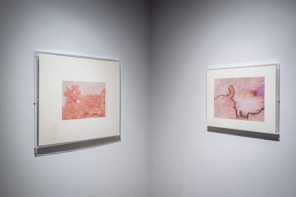 La muntanya anàloga