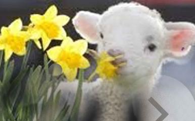 bar tool bar project