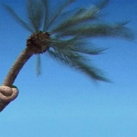 Turistització / decreixement turístic