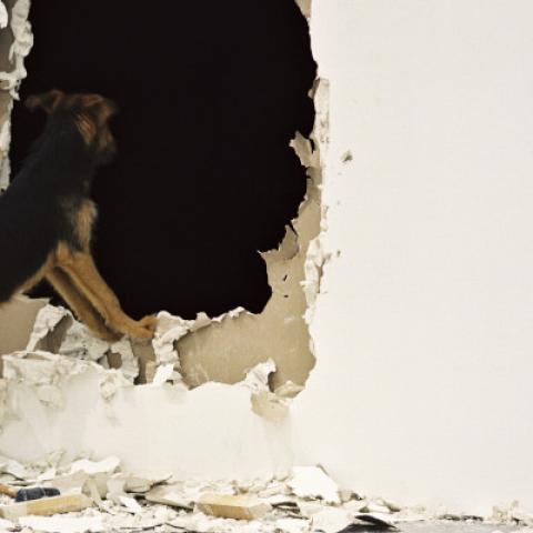 'Sin título (Abierta, Negada y Desnuda)', 2012. Projecte a l’EACC. Video. Cortesia de l’artista