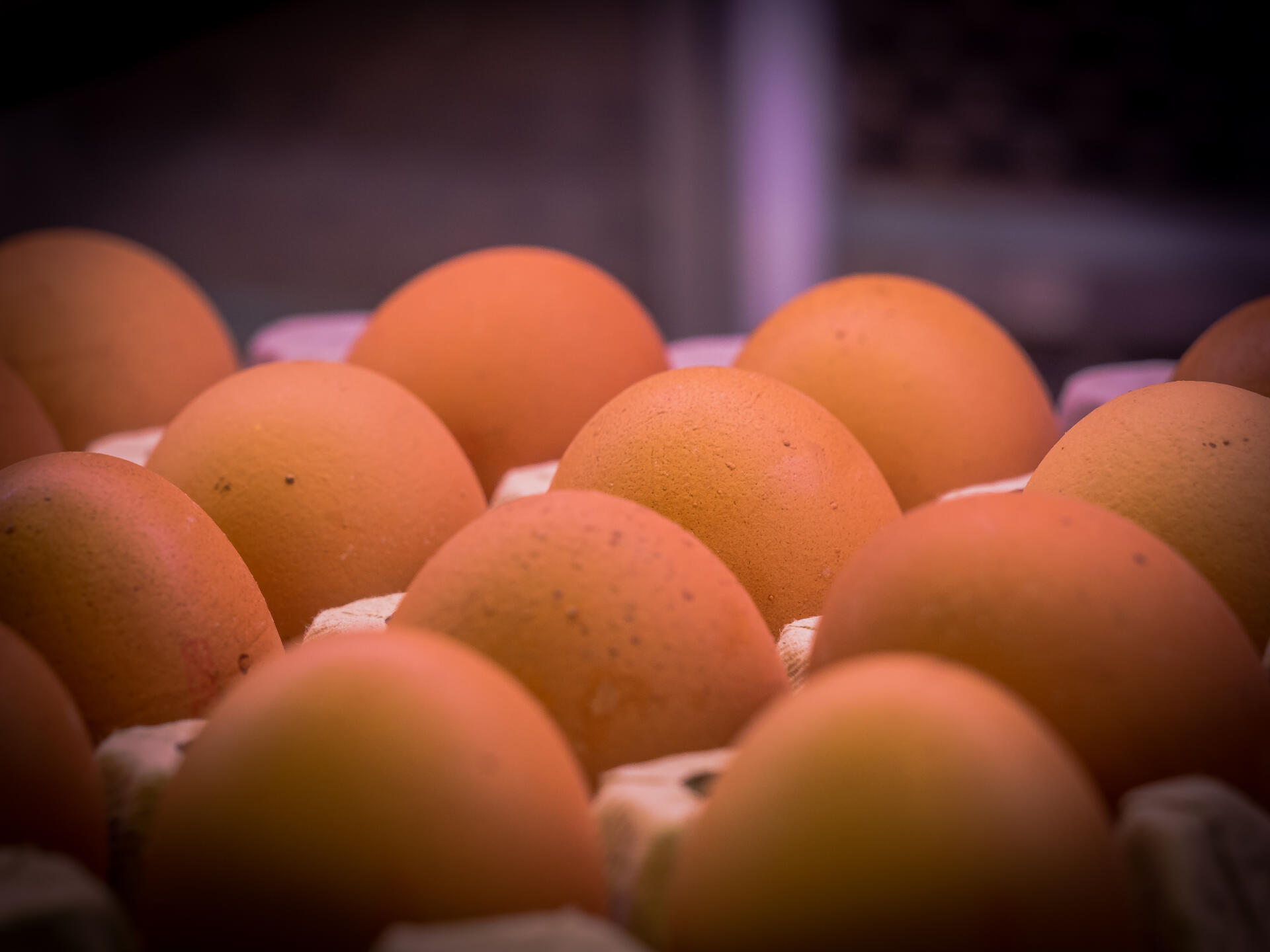 Sis coses sobre els ous que potser no sabies