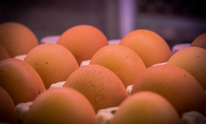 L’ou: el bàsic de la cuina per excel·lència