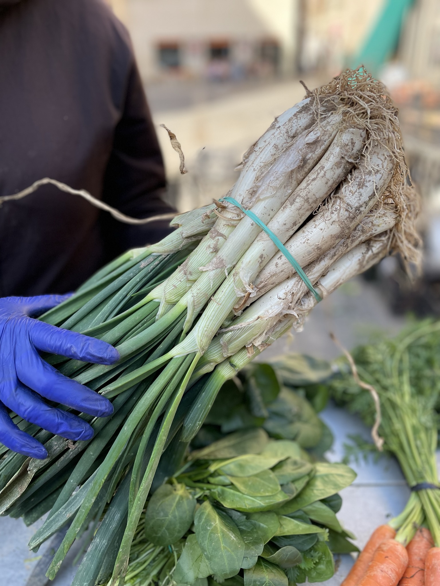 calçots