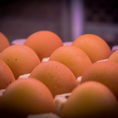 Sis coses sobre els ous que potser no sabies