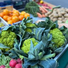 Productes de temporada