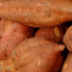 La ‘patata dolça’: el moniato que està de moda aquesta temporada