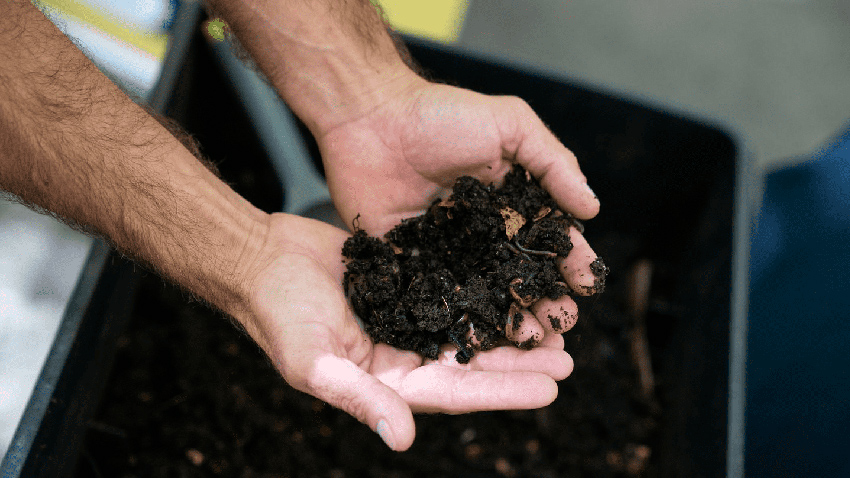 Mans agafant compost