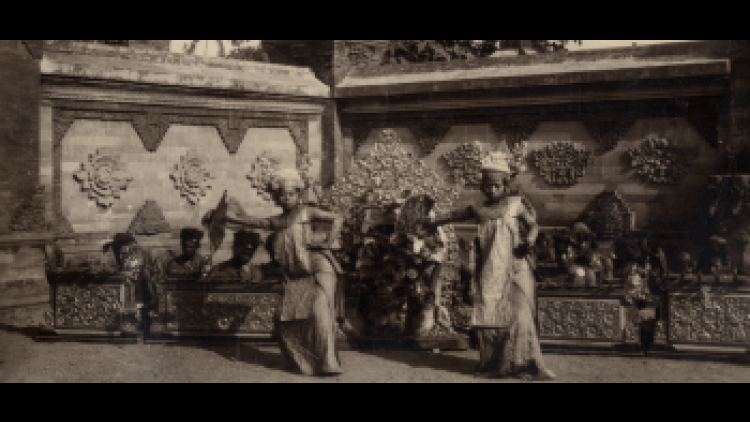 Imatge: Tosario Studio