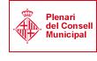 Plenari del Consell Municipal