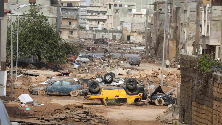 Crides tancades d'acció humanitària i emergències