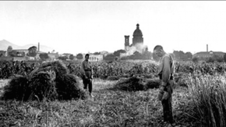 Historia de Sant Andreu de Palomar