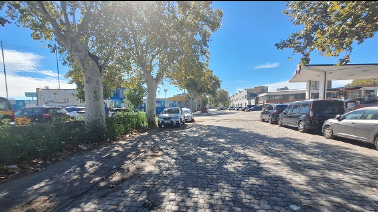 Els Indicis del Camí Ral: llambordes, vies i renglera d'arbres