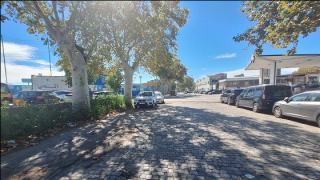 Els Indicis del Camí Ral: llambordes, vies i renglera d'arbres