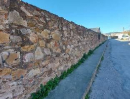 L'espectacular mur de pedra que conduïa les avingudes de la riera d'Horta al seu pas per Can Mestres