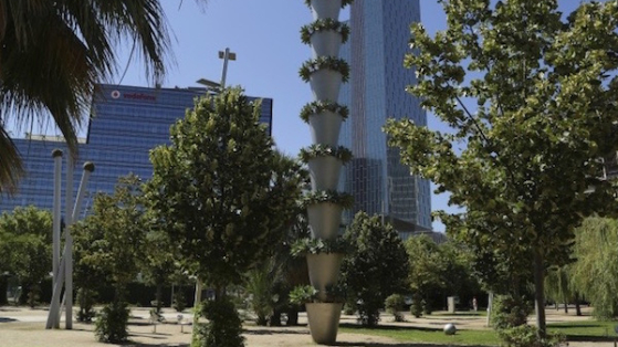 Parque Central, Provençals del Poblenou