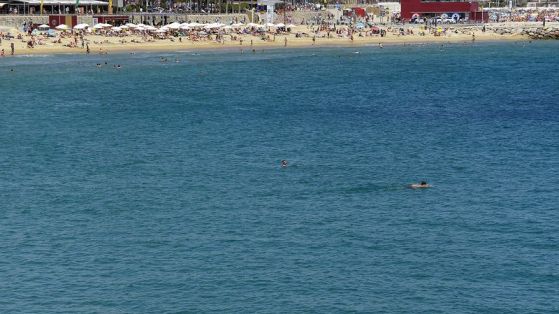 Submarinisme a la platja de la Nova Icària 