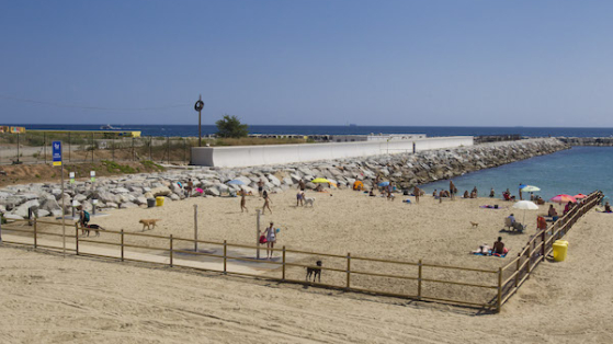 Platja Perros