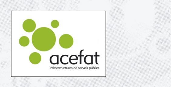 logo ACEFAT AIE