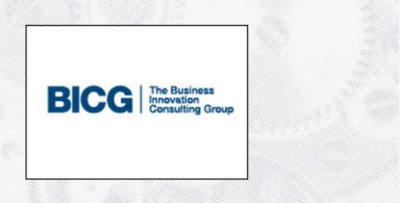 logo BUSINESS INNOVATION CONSULTING GROUP (BICG)
