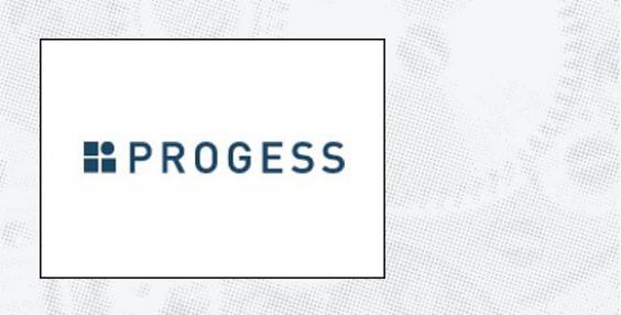 logo PROGESS