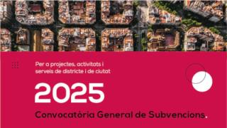 Subvencions 2025