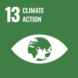 Icon of the Sustainable Development Goal 13 of the 2030 Agenda